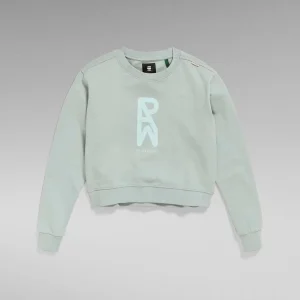 SWEAT GS RAW